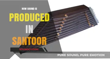 Exploring the Melodic Magic: How Sound is Produced in a Santoor