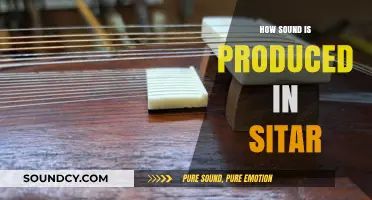 Exploring the Art of Sitar: How Sound is Produced in This Iconic Instrument