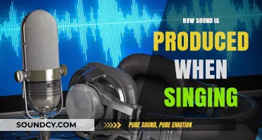 The Science Behind Singing: How Sound is Produced in the Voice