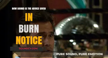 Burn Notice: Evaluating the Practicality of Michael Westen's Spy Advice