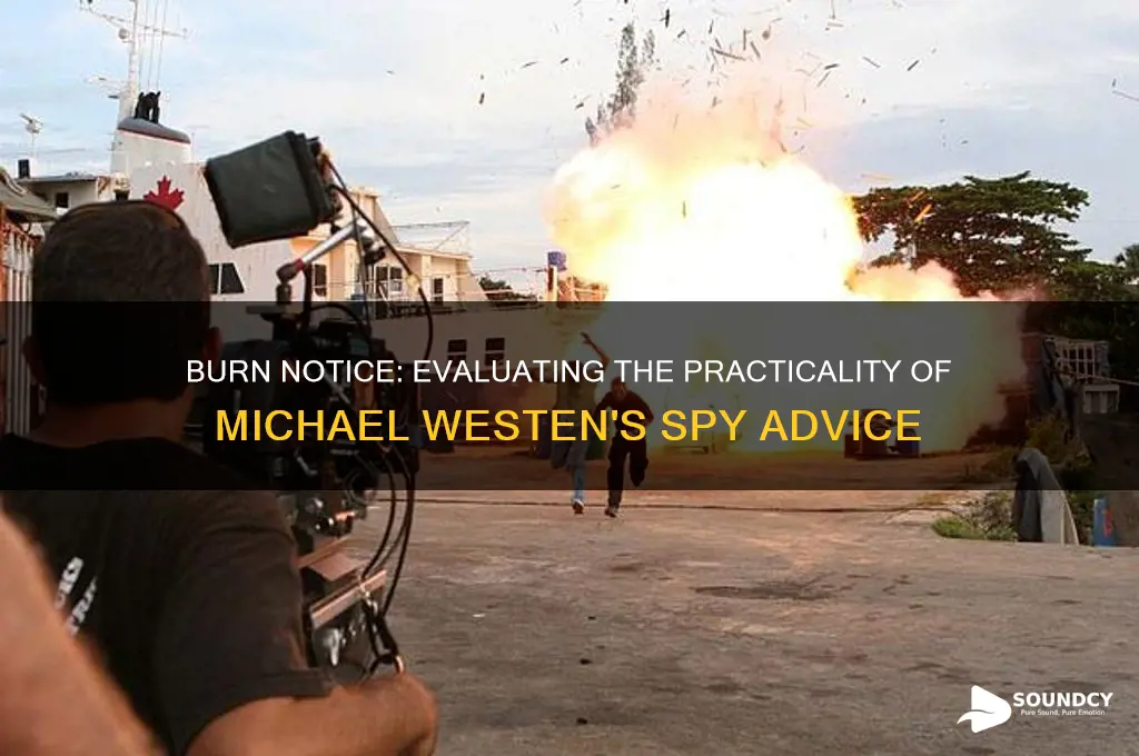 how sound is the advice given in burn notice