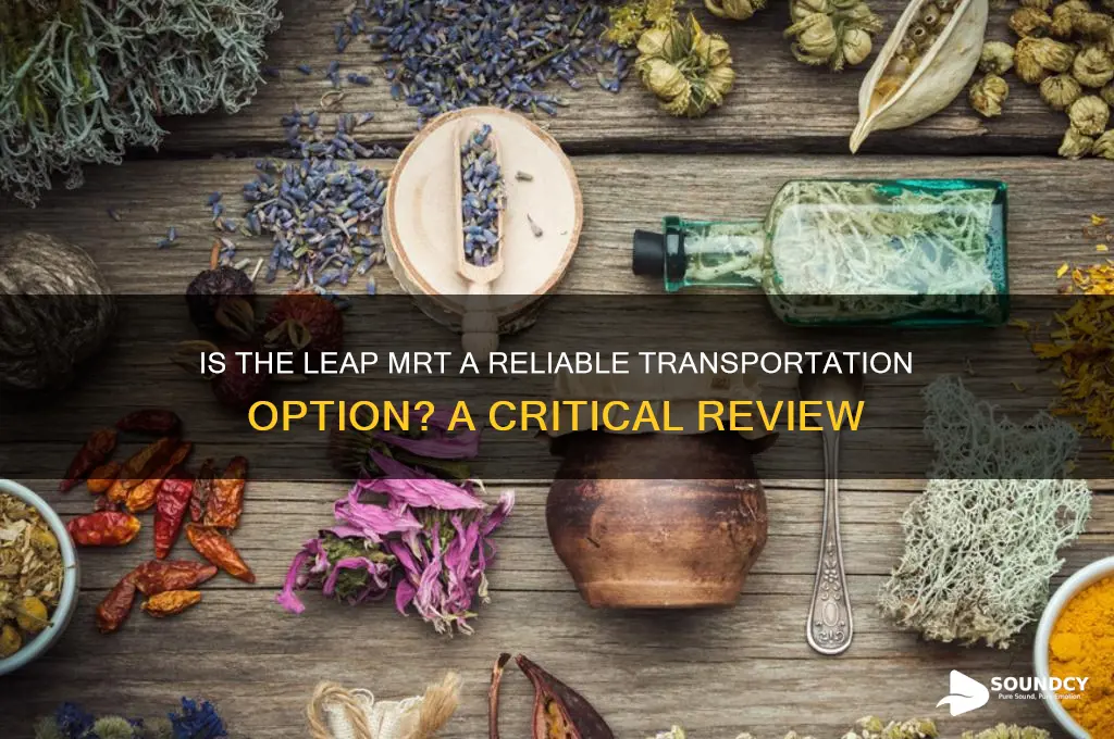 how sound is the leap mrt