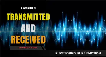 Understanding Sound Transmission: How Waves Travel and Reach Our Ears