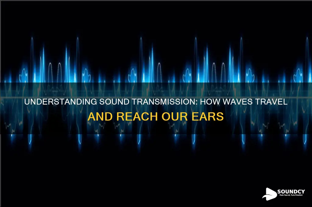 how sound is transmitted and received