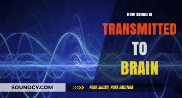 How Sound Waves Travel to the Brain: A Comprehensive Guide