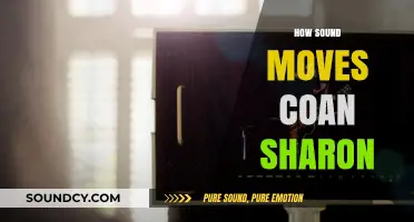How Sound Waves Travel Through Sharon Coan's Unique Acoustic Spaces