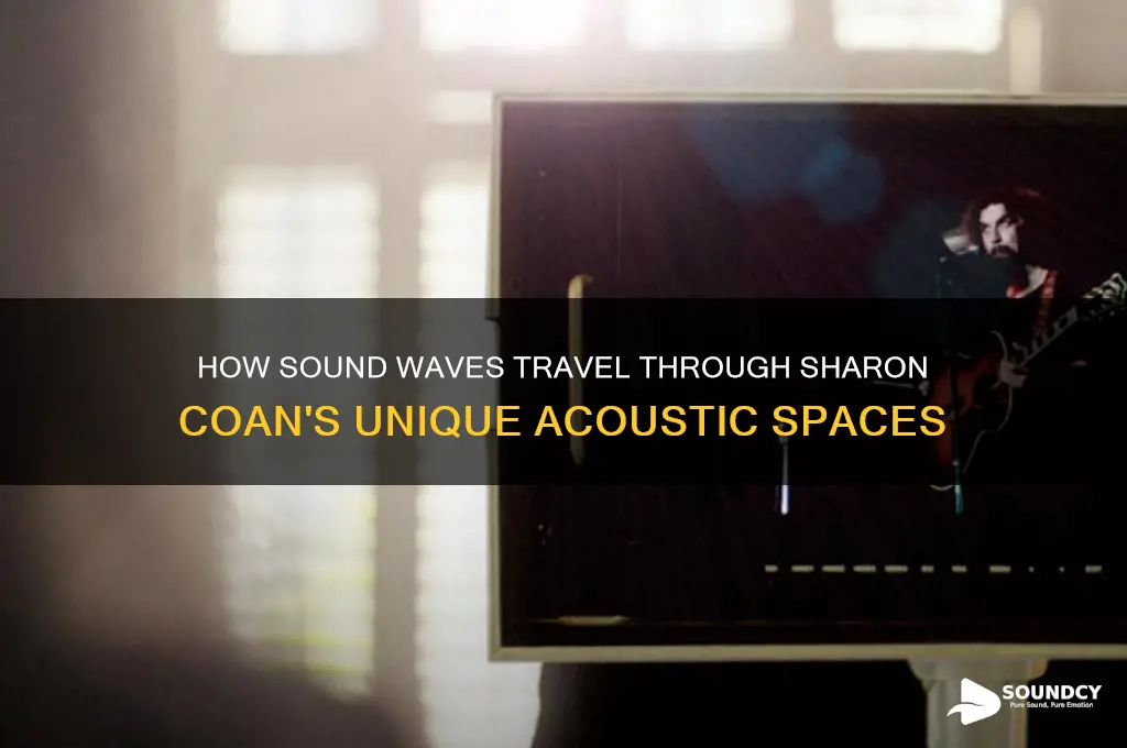 how sound moves coan sharon