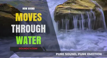 Exploring the Science of Sound Waves in Aquatic Environments