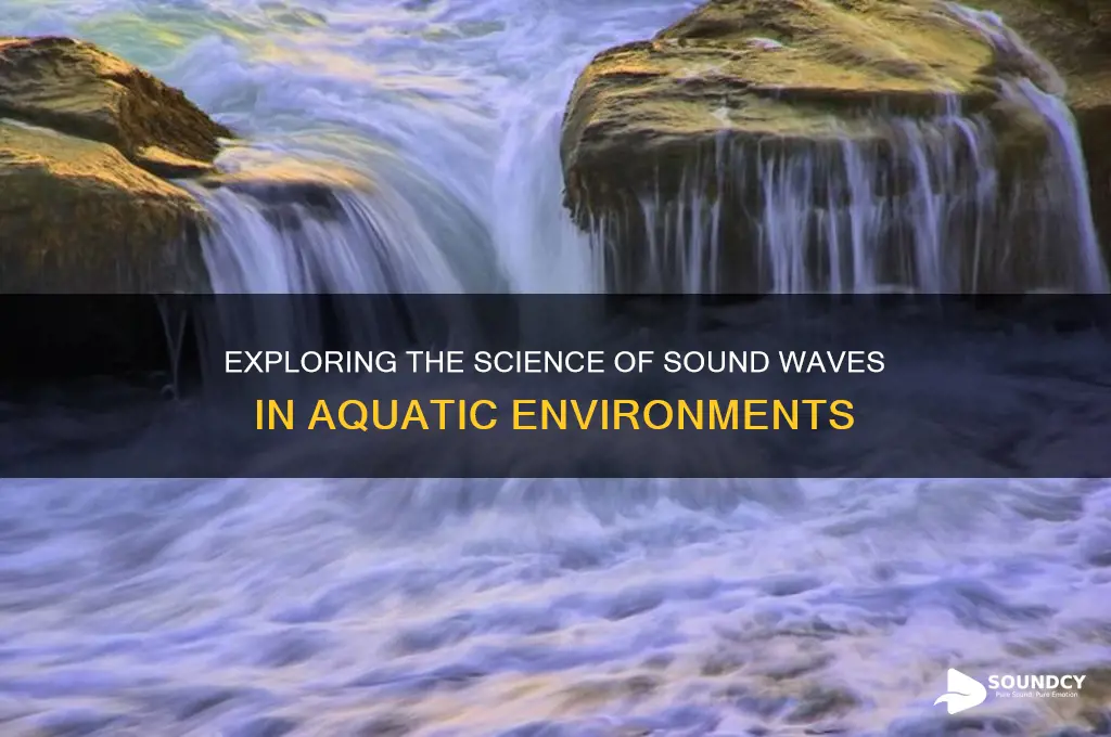 how sound moves through water