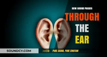 Unraveling the Journey: How Sound Waves Travel Through the Ear