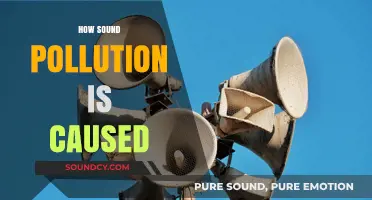 Uncovering the Sources: How Sound Pollution Disrupts Our Environment