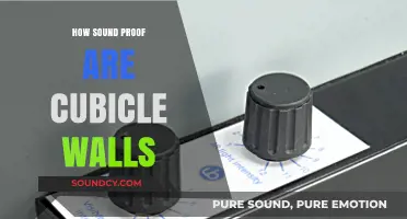 Do Cubicle Walls Block Noise? Soundproofing Myths and Realities