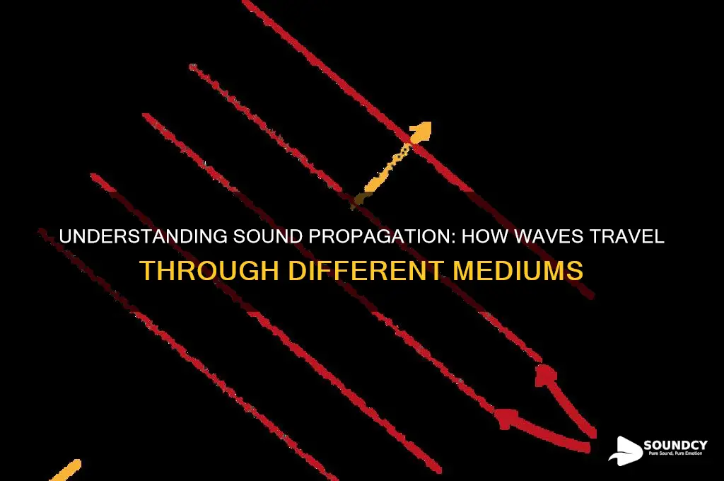 how sound propagates in a medium