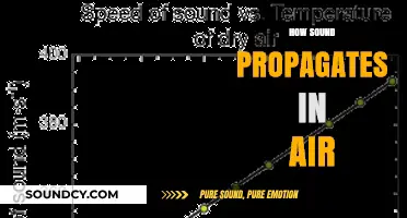 Understanding Sound Waves: How They Travel Through Air