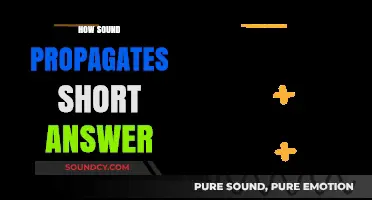 Understanding Sound Propagation: A Concise Explanation of How Sound Travels