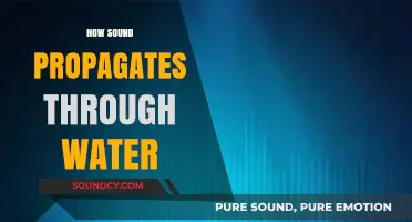 Exploring Underwater Acoustics: How Sound Waves Travel Through Water