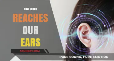 Unveiling the Journey: How Sound Waves Travel to Our Ears