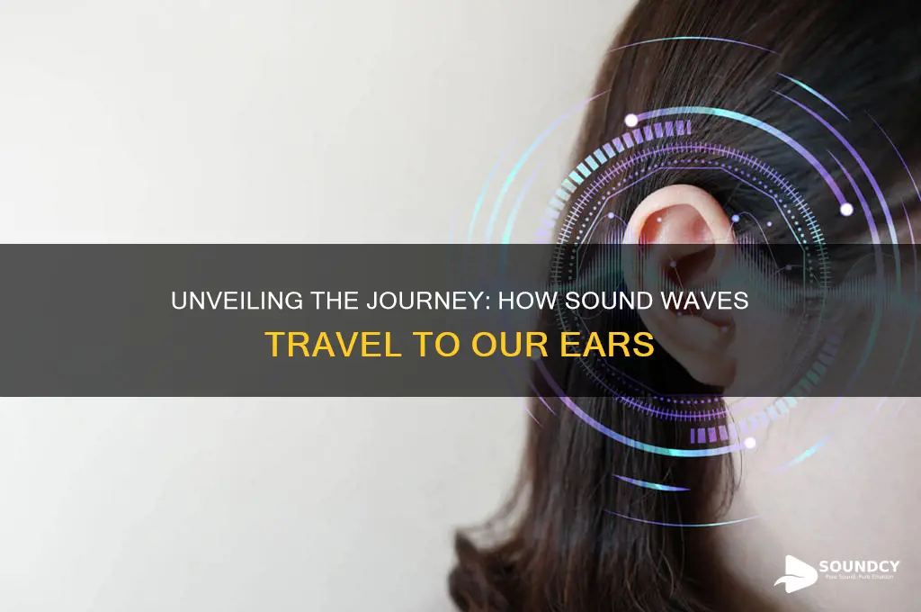 how sound reaches our ears