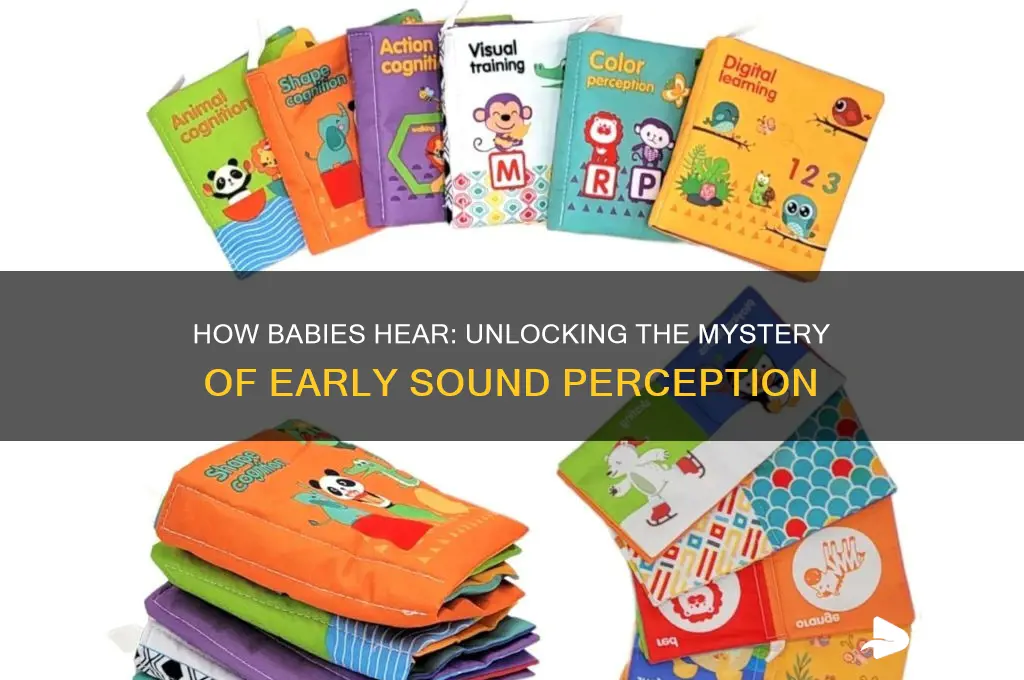 how sound sounds to a baby