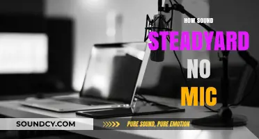 Mastering Sound Standards: Achieving Clarity Without a Microphone