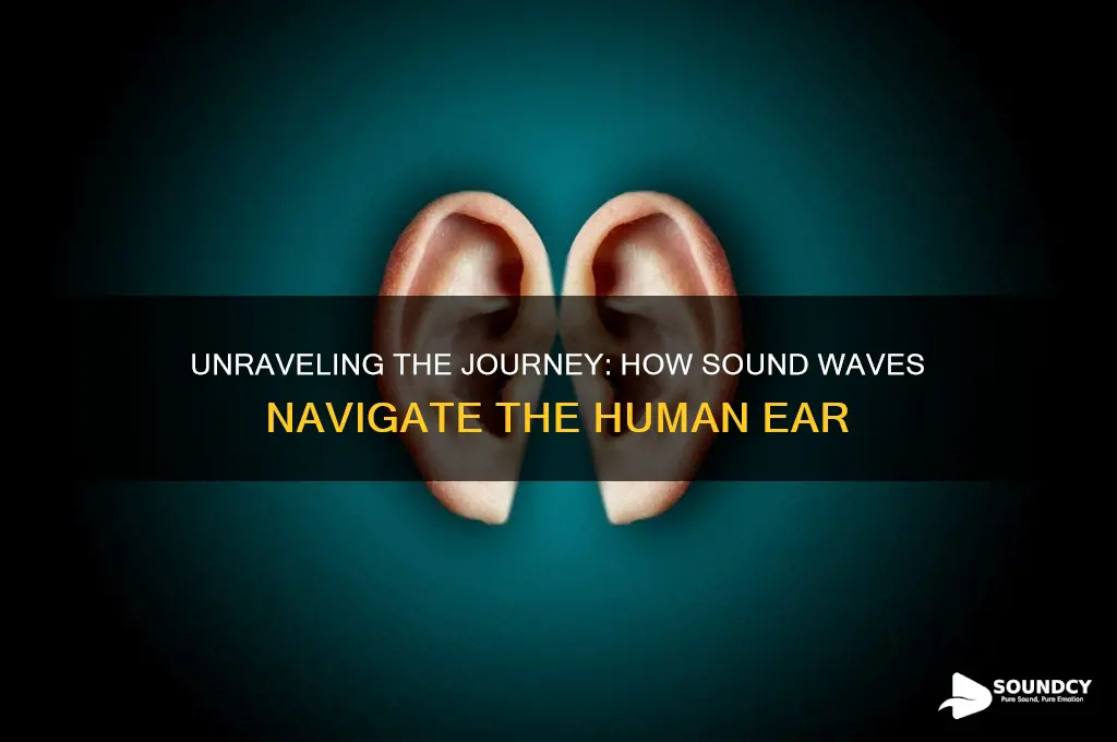 how sound travel in human ear