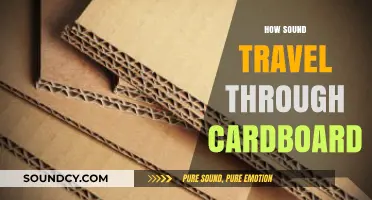 How Sound Waves Travel Through Cardboard: A Detailed Exploration