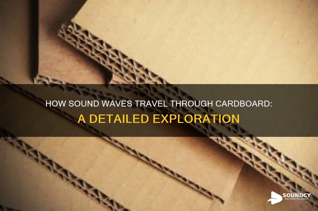 how sound travel through cardboard