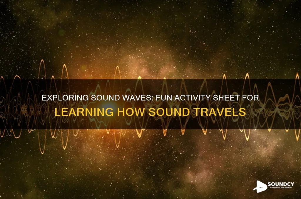 how sound travels activity sheet