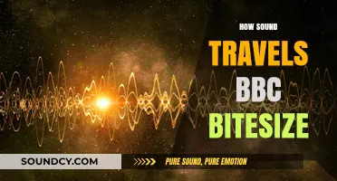 How Sound Waves Travel: A BBC Bitesize Explainer