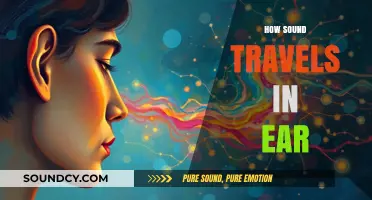 Unraveling the Journey: How Sound Waves Travel Through the Ear