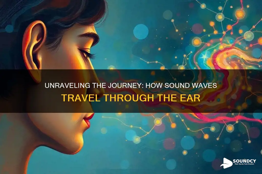 how sound travels in ear