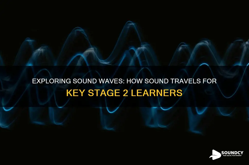 how sound travels key stage 2