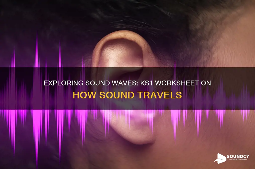 how sound travels ks1 worksheet
