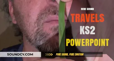 Exploring Sound Waves: KS2 PowerPoint Guide to How Sound Travels
