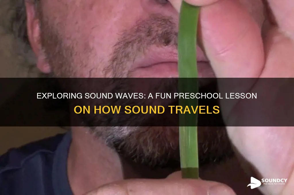 how sound travels preschool lesson
