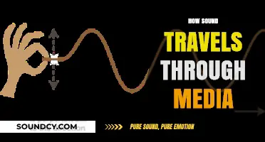 Exploring Sound Waves: How They Travel Through Different Media