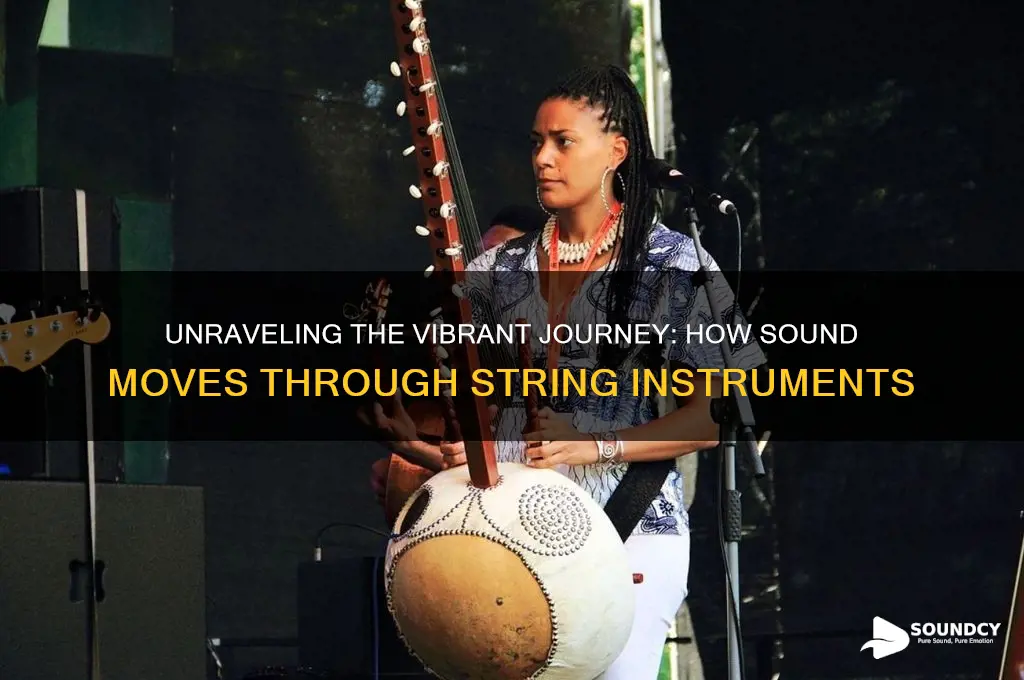 how sound travels through string instruments