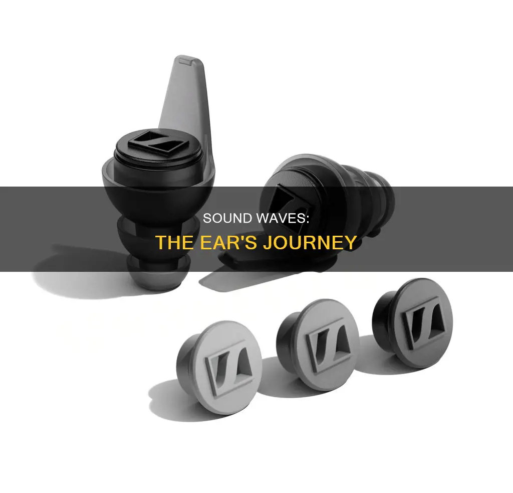 how sound travels through the ear