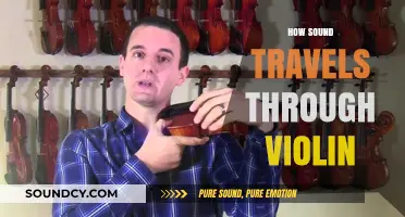 Unveiling the Acoustic Journey: How Sound Waves Travel Through a Violin