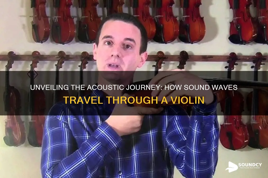 how sound travels through violin