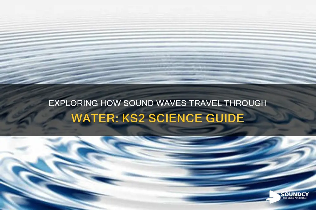 how sound travels through water ks2