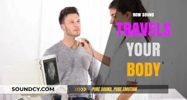 How Sound Waves Travel Through and Affect Your Body