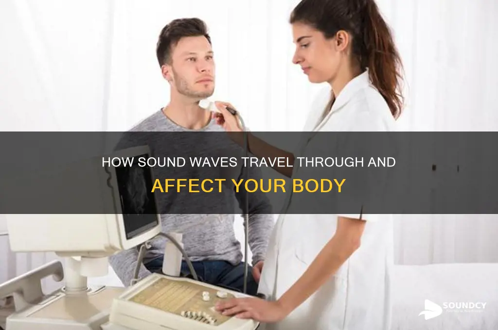 how sound travels your body