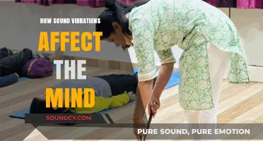 Sound Waves and Mind: Unlocking the Power of Vibrations