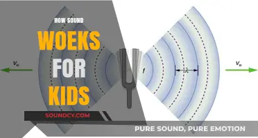 How Sound Works: A Kid-Friendly Guide to Hearing and Noise