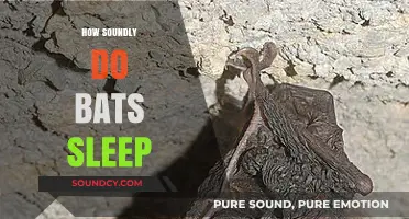 Do Bats Sleep Soundly? Unveiling Their Unique Resting Habits
