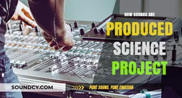 Exploring Sound Production: A Scientific Journey into Vibrations and Waves