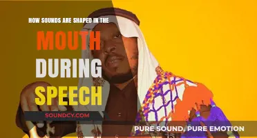 Articulating Speech: How Mouth Shapes Sounds in Human Communication
