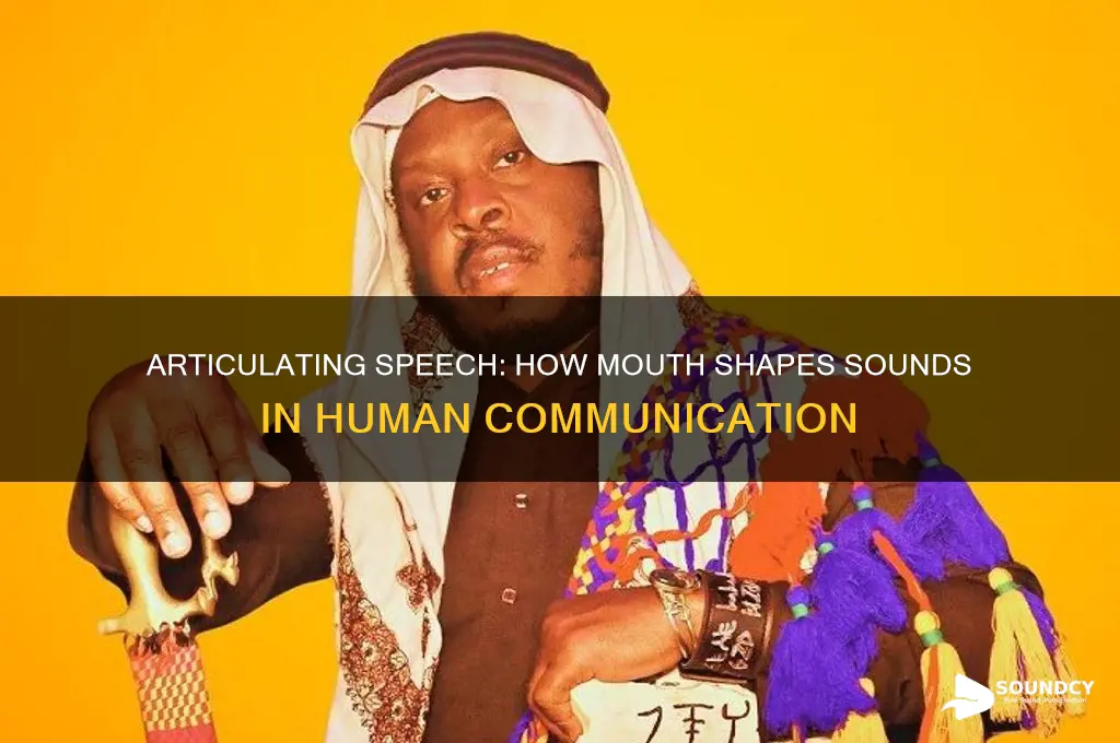 how sounds are shaped in the mouth during speech