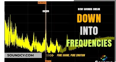 Unraveling Sound: How Frequencies Shape the Audio Spectrum